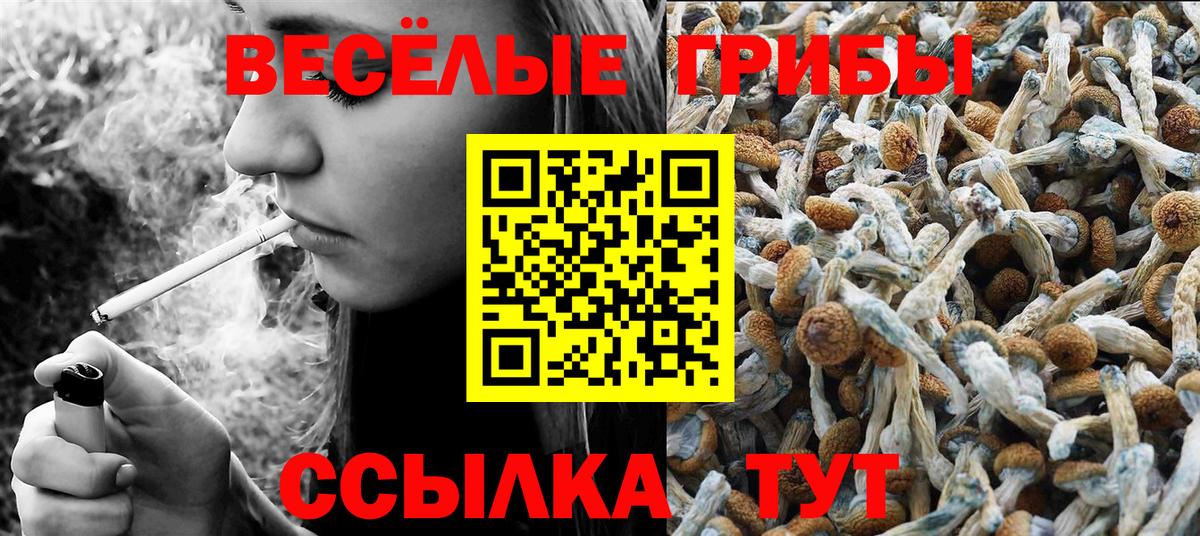 Северск  купить наркотик  Вход с VPN  Галлюциногенные грибы GOLDEN TEACHER 