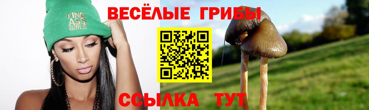 Псилоцибиновые грибы Magic Shrooms Северск