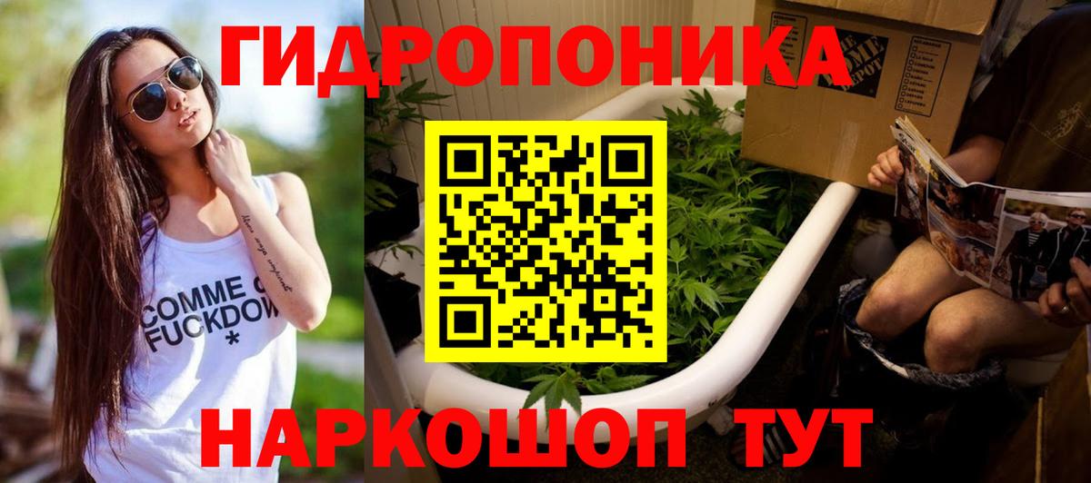 Бошки марихуана план  Шишки марихуана LSD WEED  Конопля семена  Северск  Вход с VPN  Конопля White Widow 